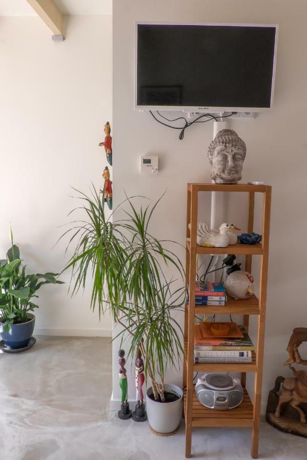 Studio South Beach With Garden And Free Parking Zandvoort Eksteriør bilde