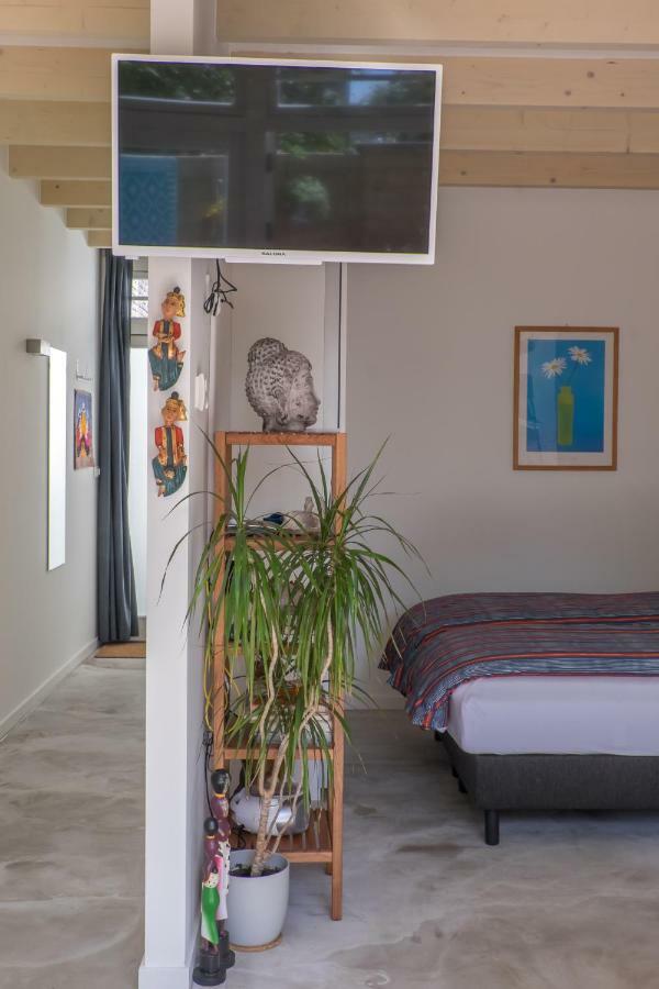 Studio South Beach With Garden And Free Parking Zandvoort Eksteriør bilde